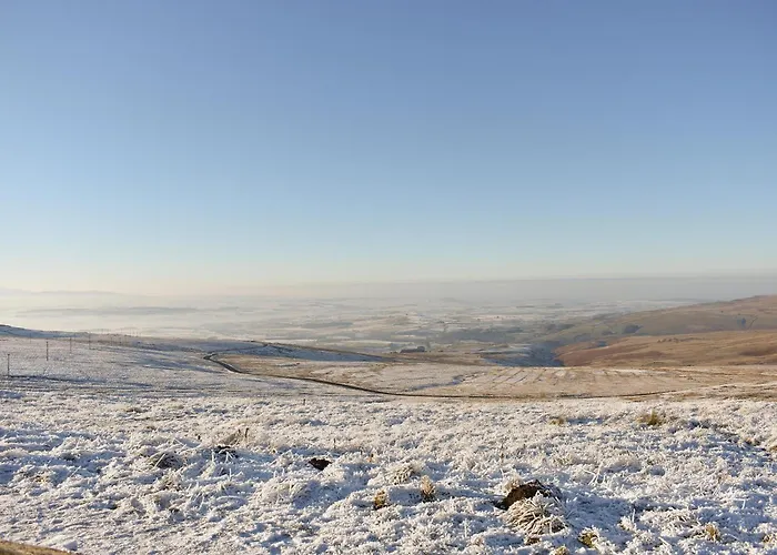 Sowerberry - Uk1533 * Alston