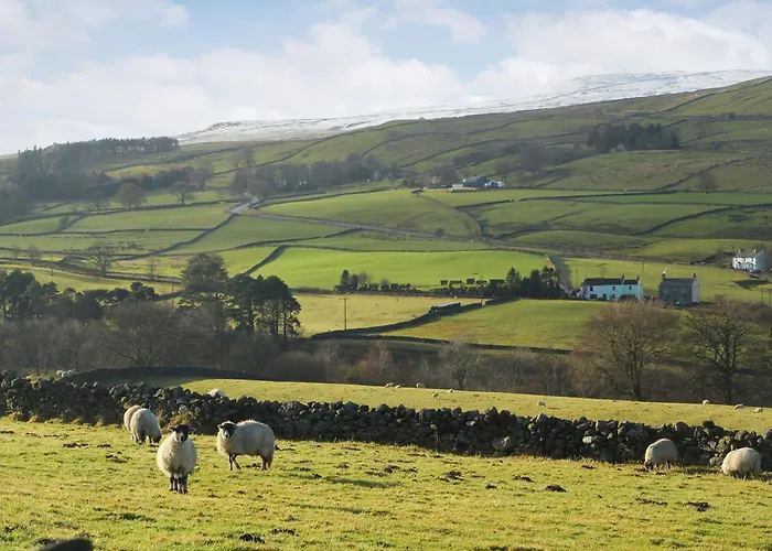 Sowerberry - Uk1533 * Alston